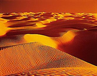 《明末：渊虚之羽》新截图 女主大战肉团怪