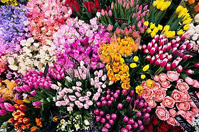 《失落的方舟》全球玩家数超2000万 专家给予好评